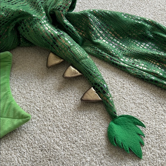 Pottery Barn Kids Dragon Costume - Picture 4 of 8